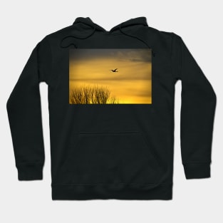 Golden Sky Hoodie